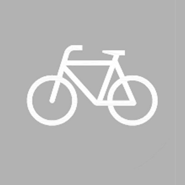 Stein HGS PREMARK Straßenmarkierung -Radfahrer-, 800 x 900 mm, VE: 5 Stück, 12225