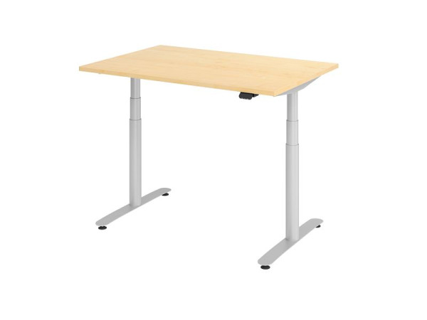 Hammerbacher Sitz-Steh-Schreibtisch elektrisch 120x80cm Ahorn/Silber, VXDLR12/3/S
