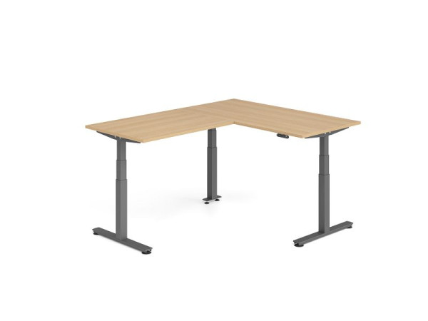 Hammerbacher Sitz-Steh-Winkeltisch 200x160cm Eiche/Graphit, VXDSMW1612/E/G