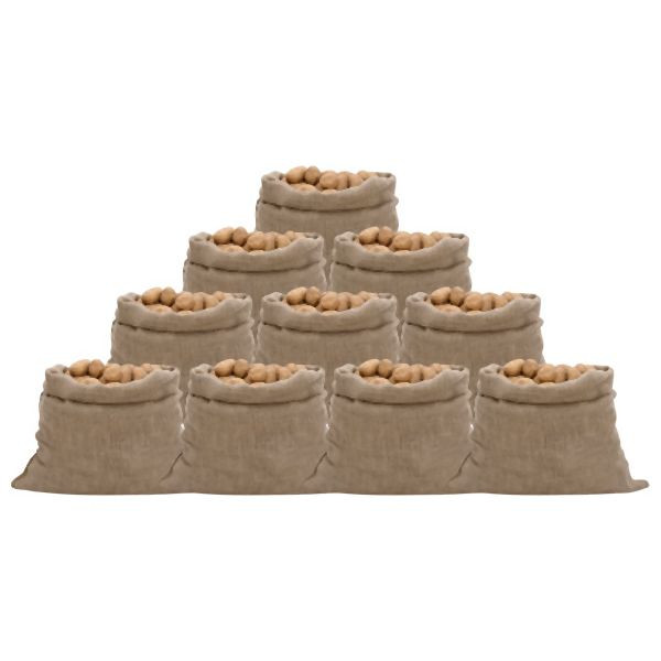 vidaXL Jutesäcke 10 Stück 100x110 cm 100% Jute 220 g/m², 155782