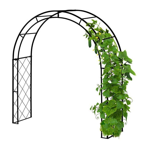 VegTrug Kletterbogen, Metall - Schwarz, 6113, 4251638361131