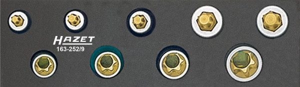 Hazet Werkzeug Satz, TORX®, Vierkant hohl 10 mm (3/8 Zoll), Außen TORX® Profil, Innen TORX® Profil, E8 - E14, T25 - T50, Anzahl Werkzeuge: 9, 163-252/9