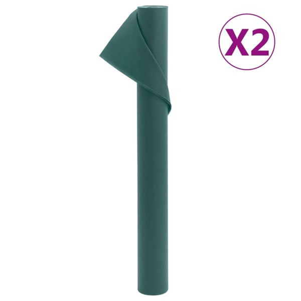 vidaXL Wintervlies 2 Rollen 70 g/m² 10x1,6 m, 3203513