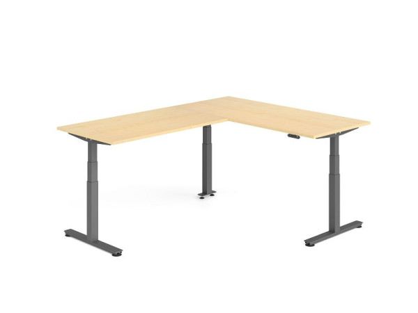 Hammerbacher Sitz-Steh-Winkeltisch 240x180cm Ahorn/Graphit, VXDSMW1916/3/G