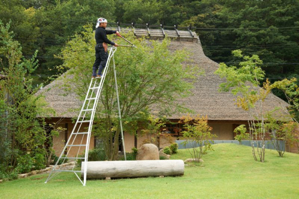 Niwaki 3-Holm-Gartenleiter 360cm, NW03600