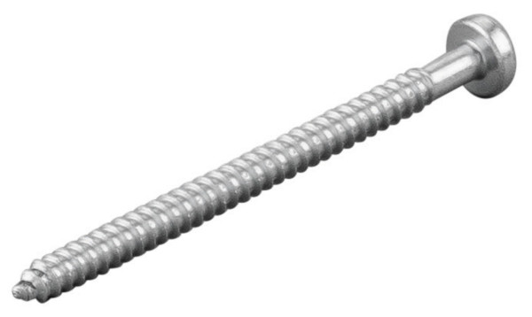 REMS Blechschraube, Maße (LxBxH): 55 x 8 x 8 mm, 083066