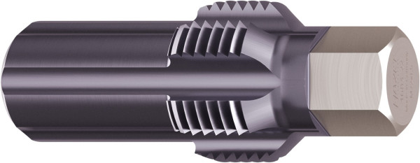 Hazet Gewinde-Nachschneider Abgastemperatur-Sensoren / -Sonden, 13 mm Außen-Sechskant, Länge: 50 mm, 4683-22