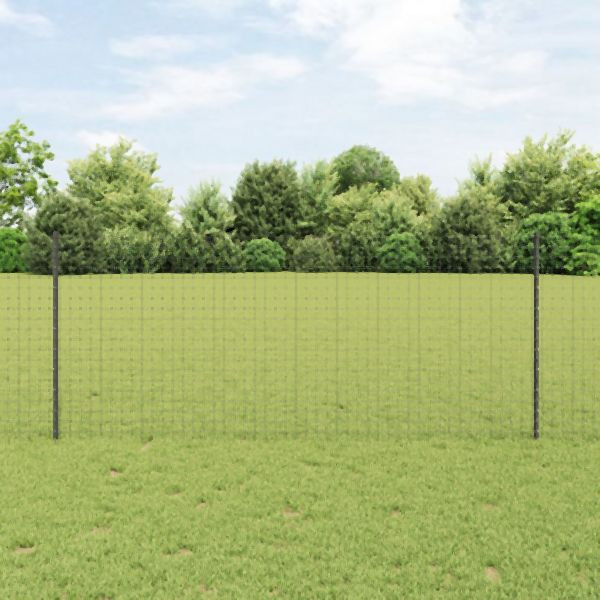 vidaXL Gartenzaun Set 2er Pack Grau Metall 10 x 1 m Langlebig, 3336057