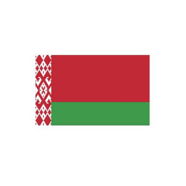 Stein HGS Länderflagge Belarus (Weißrussland), 300x120cm, mit Kunststoff-Karabiner, FlagTop 160 g/m², für Fahnenmasten 7 m ohne Hohlsaum, 26783