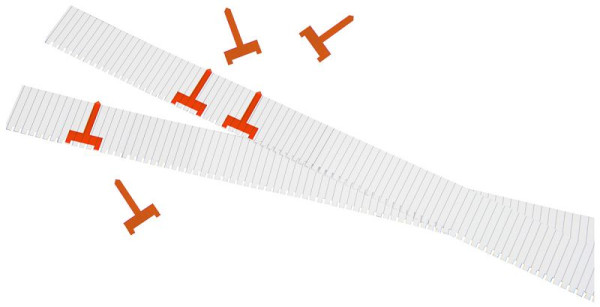 Eichner Planungssignale für Einstecktafel, schmal, orange, VE: 50 Stück, 9085-00067