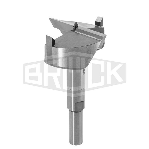 BRÜCK ZOBO Bohrer WD Hartmetall, Durchmesser: 50mm, Gesamtlänge: 100mm, Bohrsystem 2, 762287
