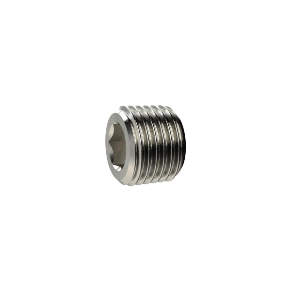 Riegler Verschlussschraube, Innensechskant, ohne Bund, R 3/4, Messing vernickelt, 136453
