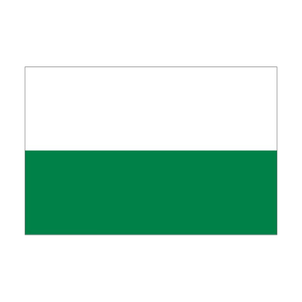 Stein HGS Landesflagge Sachsen (ohne Wappen), 60 x 90 cm (Querformat), mit Seil und Schlaufe, FlagTop 160 g/m², für Fahnenmasten 6 m, ohne Hohlsaum, 26529