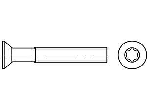 Senkschrauben ISO 14581 A 2 M 3 x 30 -T10 VE=S (1000 Stück)