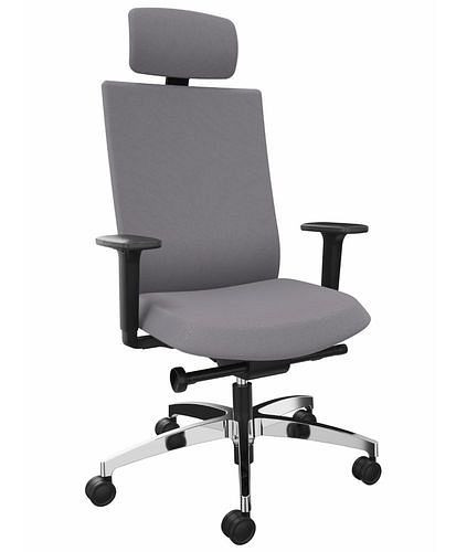 DENIOS Bürostuhl AdJust evo, Syncro-Evolution-Technik, Alu-Fußkreuz, Nackenstütze, grau, 292412
