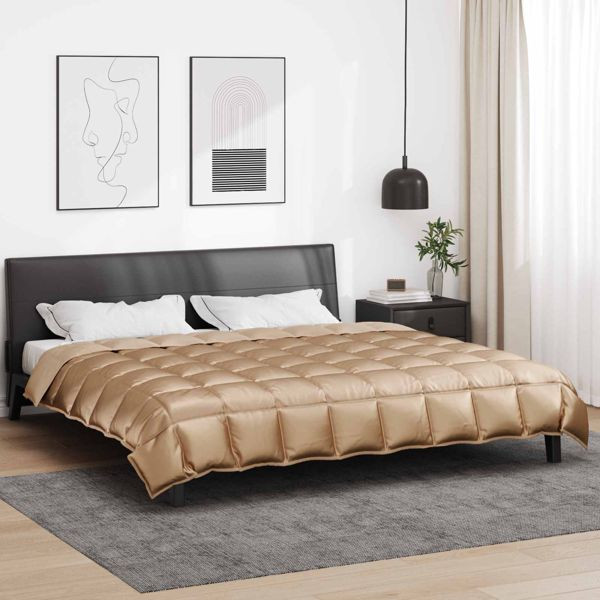 vidaXL Winterbettdecke Gold 220 x 260 cm Satin und Mikrofaser, 42025846