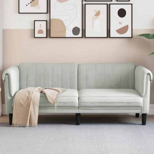 vidaXL Sofa 2-Sitzer Hellgrau Samt, Polyester, Massivholz, 372575