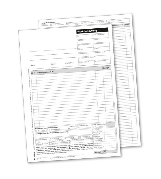 Eichner Arbeitskarten, Größe: DIN A4, VE: 500 Stück, 9096-00197