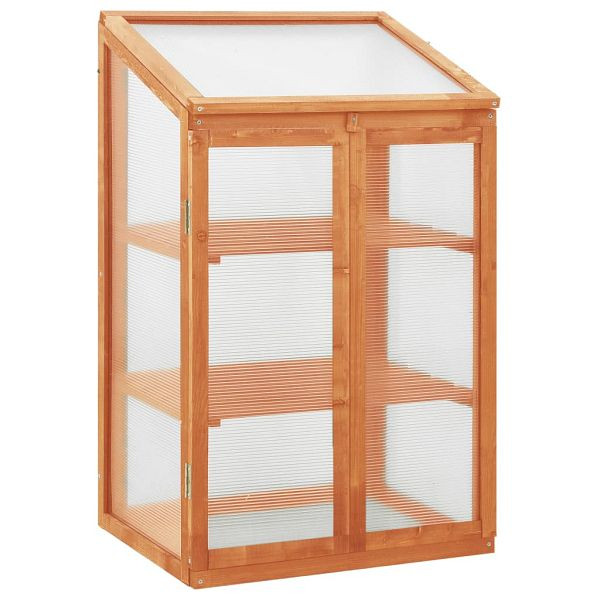 vidaXL Gewächshaus 60x45x100 cm Tannenholz, 314848