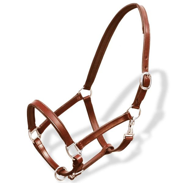 vidaXL Echtleder Halfter Stallhalfter verstellbar braun Pony, 90886