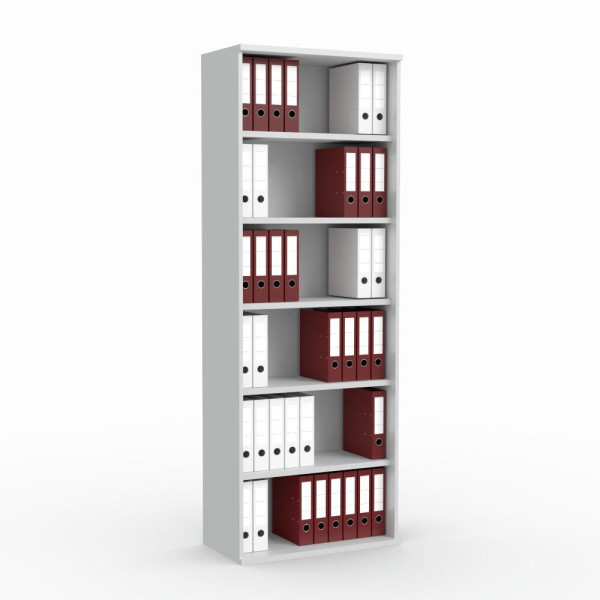 Deskin Regal Multi M pro, Dekor lichtgrau, B 800 x H 2250 x T 420 mm, 270123