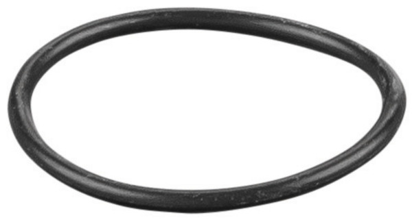 REMS O-Ring, Maße (LxBxH): 20 x 20 x 2 mm, Gewicht: 0,002 kg, 060365