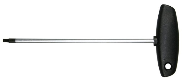 SW-Stahl T-Griff Schraubendreher, T-Profil, T30 x 200 mm, 02015L