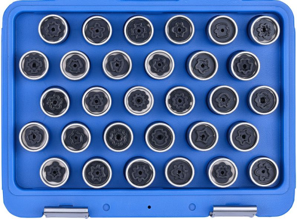 SW-Stahl Felgenschloss Demontagesatz, Mercedes-Benz, 30-teilig, 02385L