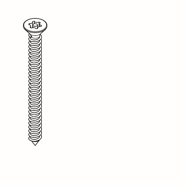 KWC Schraube, Edelstahl, 5,5x63, PIN-Torx, VE: 2 Stück, 2000109291