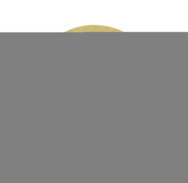 3M Hookit Papierschleifscheibe 255P, 150 mm, P240, 9-fach gelocht, VE: 500 Scheiben, 7000034133