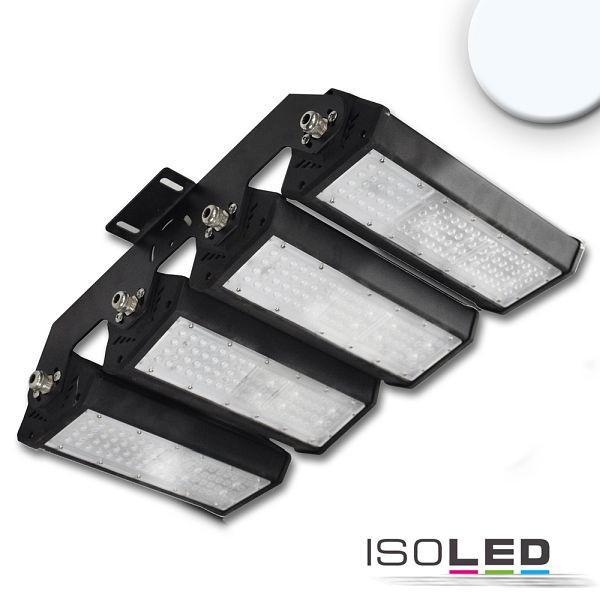 ISOLED LED Fluter/Hallenleuchte LN 4x 50W, 30x70°, IK10, IP65, 1-10V dimmbar, kaltweiß, 113752