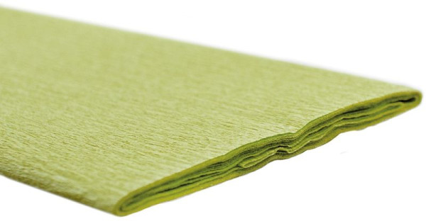 Werola Feinkrepppapier - 50 x 250 cm, weißgrün, VE: 2,5 m, 12061145