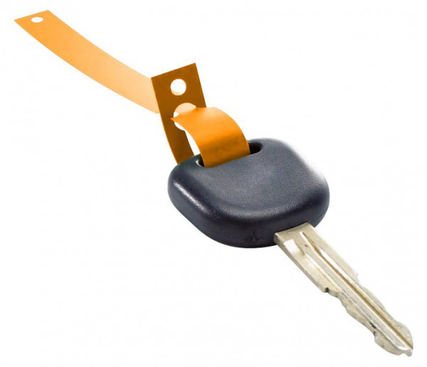 Eichner Schlüsselanhänger aus HDPE Folie, Orange, VE: 1000 Stück, 9219-00108-N