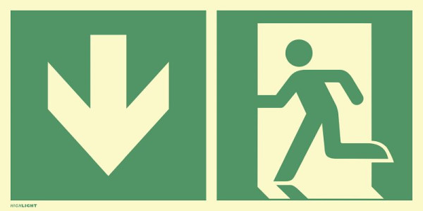 Moedel Notausgang links Pfeil unten, Kombi, ISO 7010, Aluminium, nachleuchtend, 160-mcd, 594x297 mm, 101306