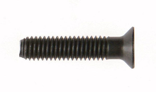 HiKOKI Senkkopfschraube M6 x 25 Linksgewinde, 744087