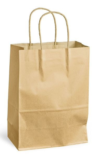 PACK´N POST Tragetasche - 240 x 110 x 330 mm, 250 Stück, braun, 30108509