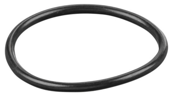 REMS O-Ring, Maße (LxBxH): 25 x 25 x 1 mm, 060011