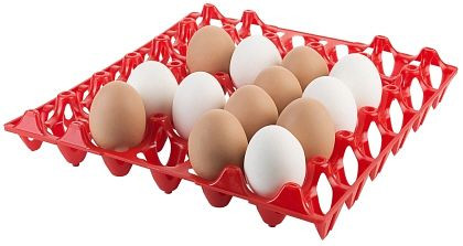 Contacto Tablett für 30 Eier, rot, 8034/031