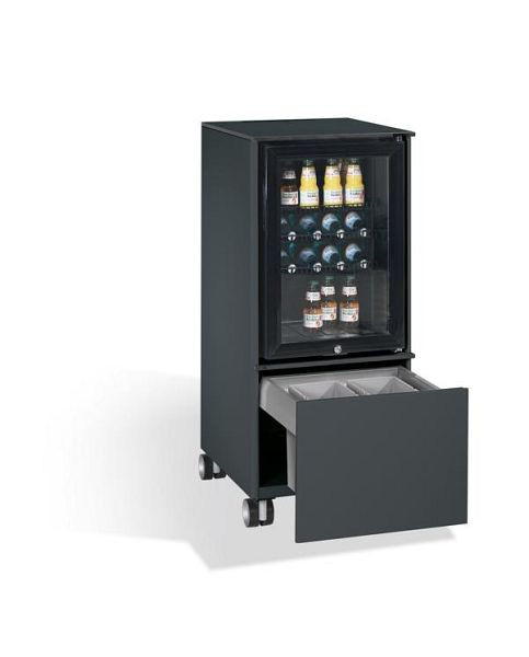 C+P Kühlschrank-Caddy Asisto, H1157xB500xT600mm, Farbe: Schwarzgrau, Griffleiste, 54780-010 S10019