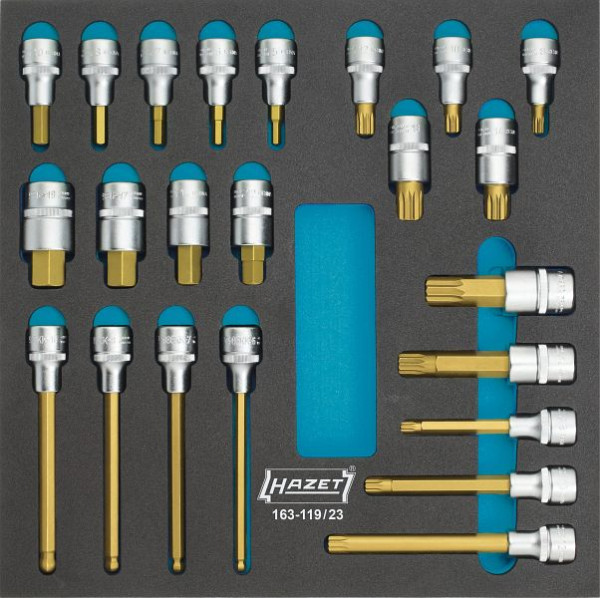 Hazet Schraubendreher-Steckschlüsseleinsatz Satz, Vierkant hohl 12,5 mm, Innen-Sechskant Profil, Anzahl Werkzeuge: 23, 163-119/23
