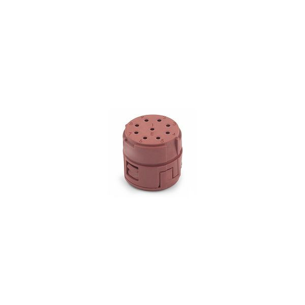 LAPP Rundsteckverbinder EPIC® SIGNAL M23 9E, VE: 20 Stück, 73002731