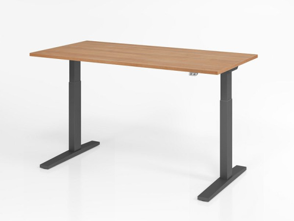 Hammerbacher Schreibtisch XMKA16, 160 x 80 cm, Platte: Nussbaum, 25 mm dick, ABS-Dickkante, Rechteckform, Graphit, VXMKA16/N/G