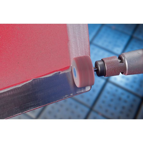 Pferd Fächerschleifer F 6015/6 A 240, VE: 10 Stück, 44507246