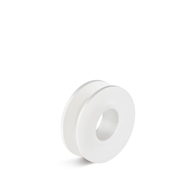 Torwegge Türrolle, F060-17KS30X19,5, 0016341
