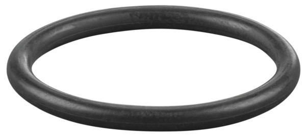 REMS O-Ring, Maße (LxBxH): 29 x 29 x 3 mm, 060317, 4039976124195