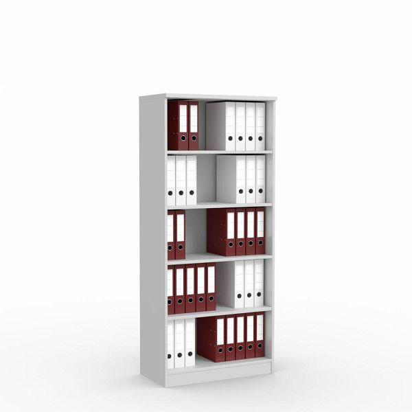 Deskin Regal MULTI M, Dekor lichtgrau, B 800 x H 1835 x T 420 mm, 258986