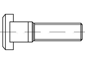 T-Nutenschrauben DIN 787 8.8 20 M 20 x 80 VE=S (5 Stück)