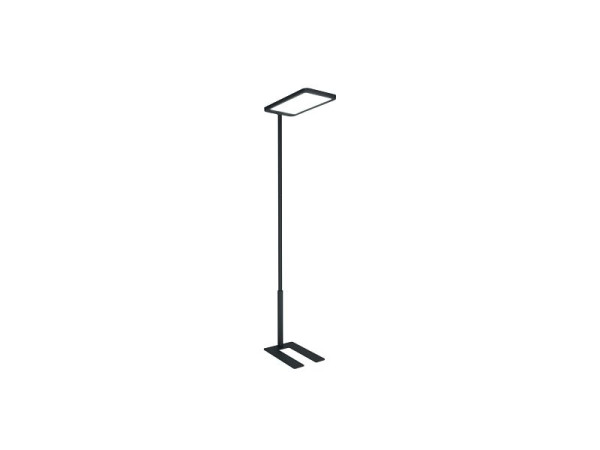 Hammerbacher LED Stehleuchte Basic 1, Graphit, B=30 cm, H=203,8 cm, T=61,2 cm, VELLSB1/G
