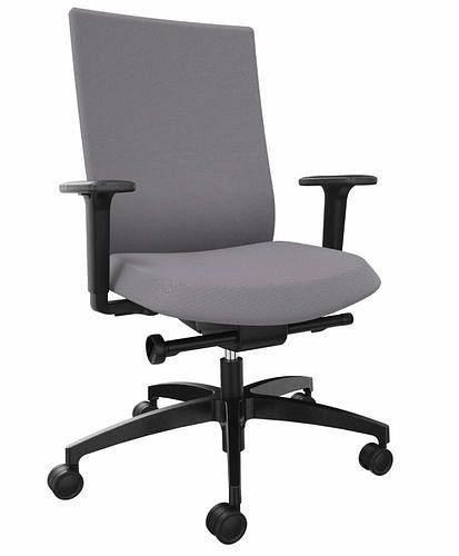 DENIOS Bürostuhl AdJust evo, Syncro-Evolution-Technik, grau, 292409