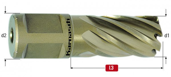 Karnasch HSS-XE Kernbohrer, Weldonschaft 19mm, Nutzlänge 30mm, Gold-Line30 d=39mm, 201260u039